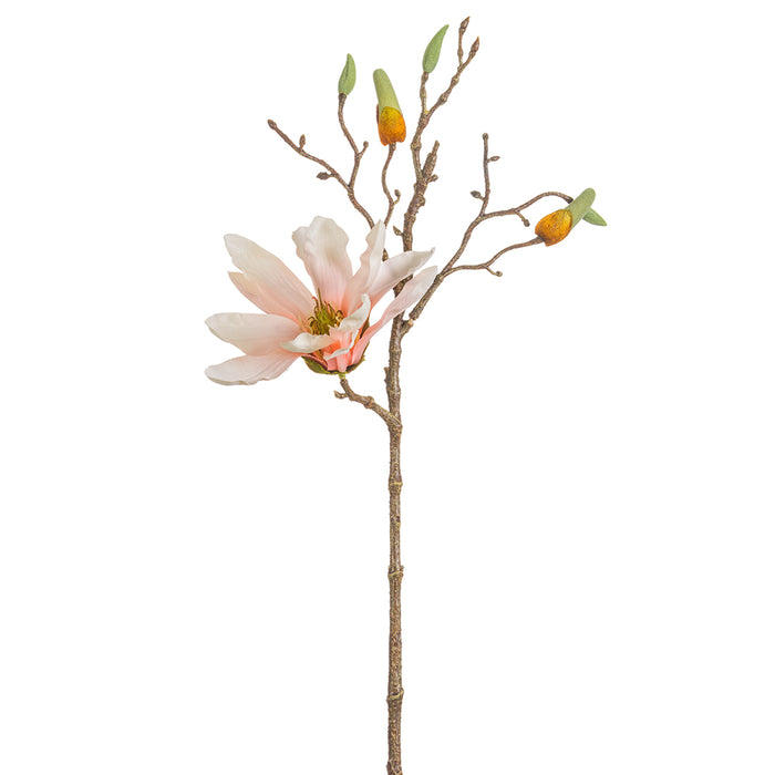 19" Silk Star Magnolia Flower Stem -Blush (pack of 12) - FSM141-BS