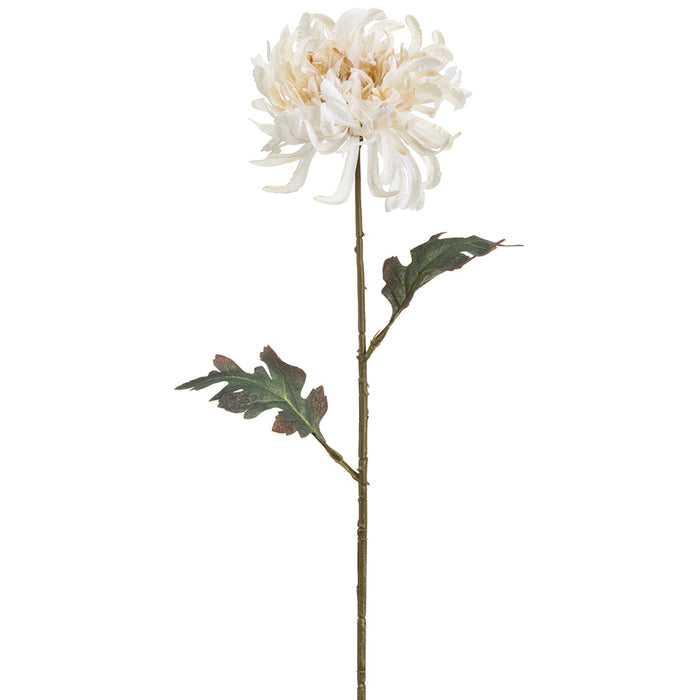 27" UV-Resistant Outdoor Artificial Spider Mum Flower Stem -Cream (pack of 12) - FSM154-CR