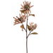 41" Spider Mum Silk Flower Stem -Tan (pack of 6) - FSM180-TN