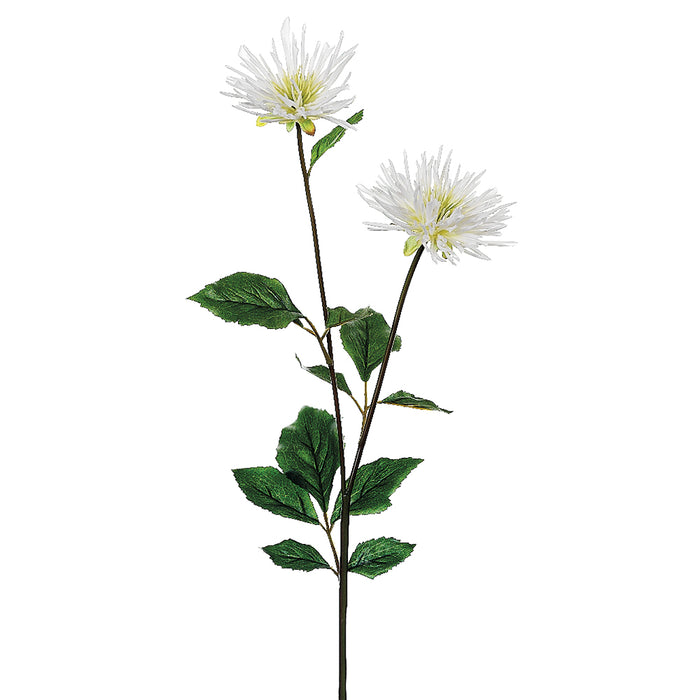 spider mum plant 33" Silk Spider Mum Flower Spray -Cream (Pack of 12)