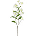 33" Silk Morning Glory Flower Stem -White (pack of 12) - FSM226-WH