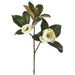 28" Silk Magnolia Flower Stem -White (Pack of 12) - FSM228-WH