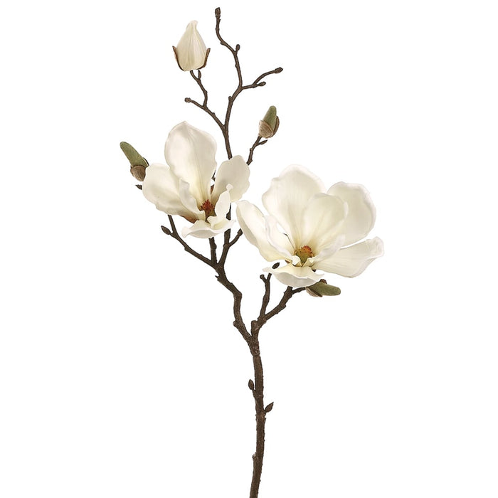 19" Silk Magnolia Flower Spray -Cream (pack of 12) - FSM335-CR