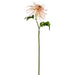 24" Silk Spider Mum Flower Stem -Peach/Pink (pack of 12) - FSM355-PE/PK