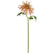 24" Silk Spider Mum Flower Stem -Toffee (pack of 12) - FSM355-TV