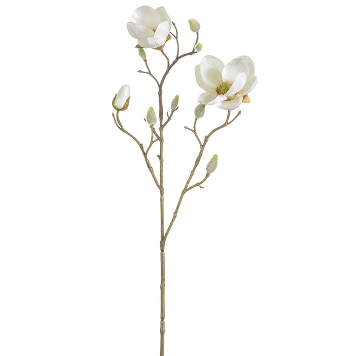 21" Silk Japanese Magnolia Flower Stem -Cream (pack of 12) - FSM424-CR