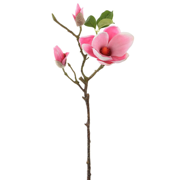 24" Silk Magnolia Flower Stem -Hot Pink (pack of 12) - FSM540-PK/HT