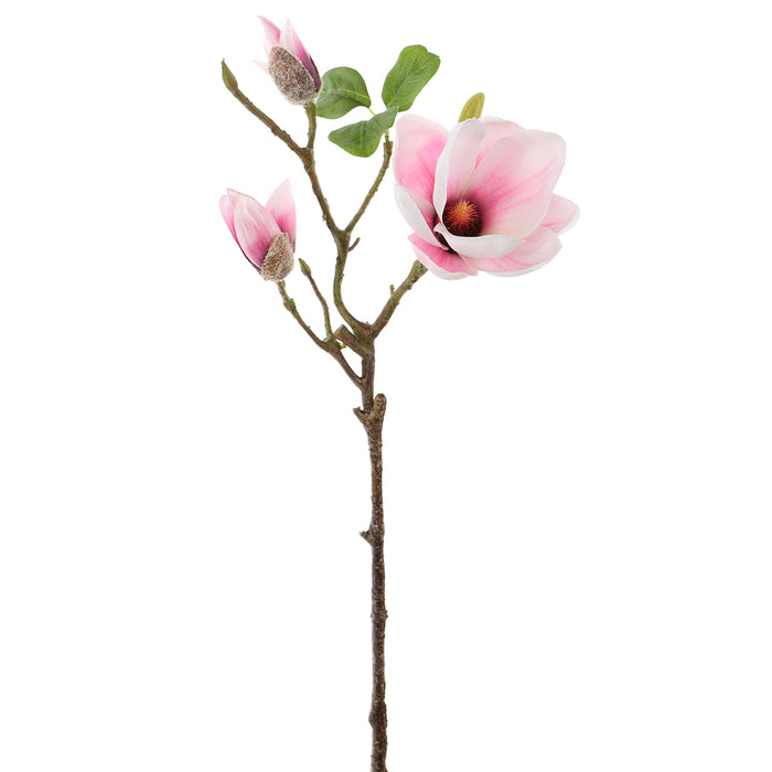 24" Silk Magnolia Flower Stem -Soft Pink (pack of 12) - FSM540-PK/SO