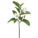 36" Magnolia Silk Flower Stem -White (Pack of 6) - FSM591-WH