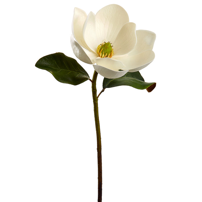 24" Silk Magnolia Flower Stem -White (pack of 12) - FSM601-WH