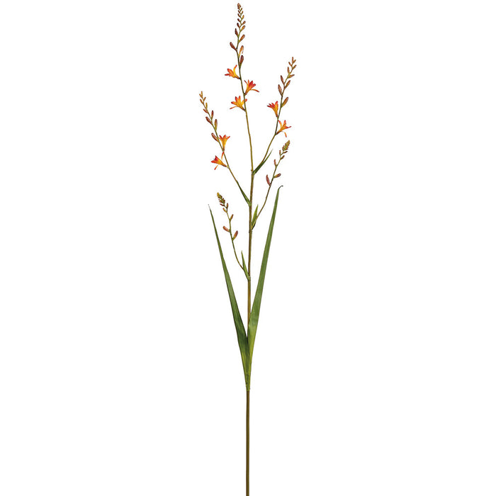 36" Crocosmia Iris Silk Flower Stem -Orange (Pack of 12) - FSM627-OR