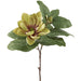 28" Magnolia Silk Flower Stem -2 Tone Green (pack of 12) - FSM640-GR/TT