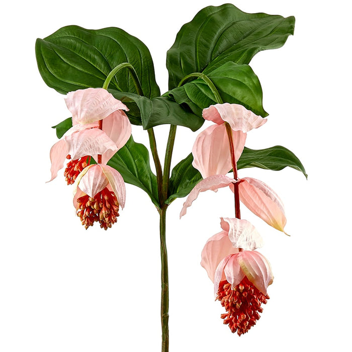 39" Silk Medinilla Pink Lantern Plant Flower Stem -Pink (pack of 6) - FSM642-PK