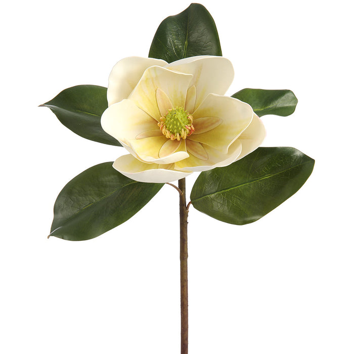 18" Magnolia Silk Flower Stem -Cream/Green (Pack of 6) - FSM643-CR/GR