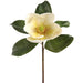18" Magnolia Silk Flower Stem -Cream/Green (Pack of 6) - FSM643-CR/GR