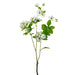 23.5" Silk Morning Glory Flower Stem -White (pack of 12) - FSM654-WH