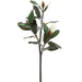 38.5" Silk Magnolia Flower Stem -White (pack of 6) - FSM803-WH