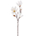 30.5" Japanese Magnolia Silk Flower Stem -Cream (Pack of 12) - FSM844-CR