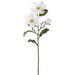 28" Magnolia Silk Flower Stem -Cream (Pack of 12) - FSM899-CR