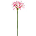 29" Silk Nerine Lily Flower Stem -Light Pink (pack of 12) - FSN023-PK/LT