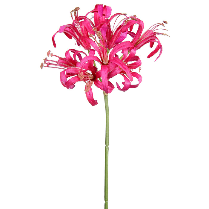 fuschia lily flower 24" Silk Nerine Lily Flower Stem -Fuchsia (Pack of 12)