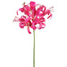 24" Silk Nerine Lily Flower Stem -Fuchsia (Pack of 12) - FSN240-FU
