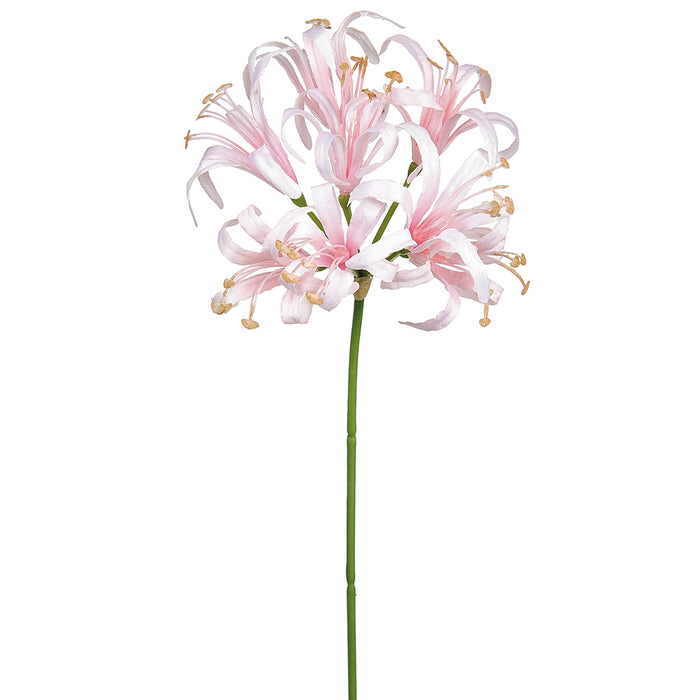 24" Silk Nerine Lily Flower Stem -Light Pink (Pack of 12) - FSN240-PK/LT