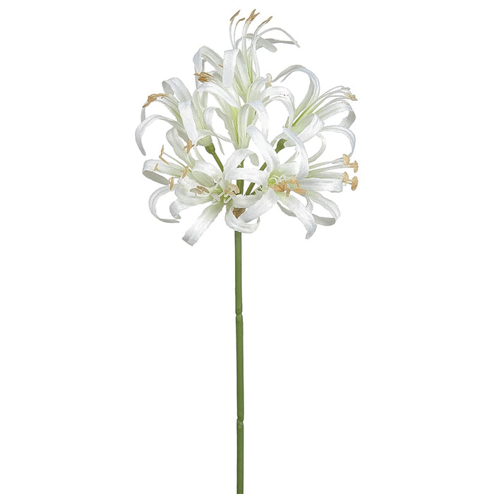 long stem white lilies 24" Silk Nerine Lily Flower Stem -White (Pack of 12)