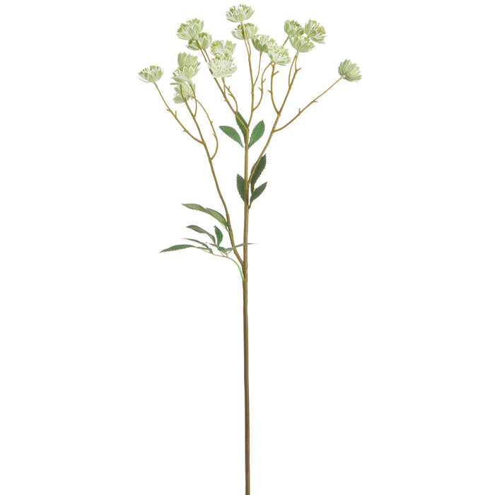 24" Artificial Nigella Flower Stem -Cream/Green (Pack of 12) - FSN939-CR/GR