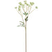 24" Artificial Nigella Flower Stem -Cream/Green (Pack of 12) - FSN939-CR/GR