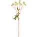 24" Artificial Nigella Flower Stem -Cream/Lavender (pack of 12) - FSN939-CR/LV