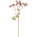 24" Artificial Nigella Flower Stem -Plum (pack of 12) - FSN939-PL