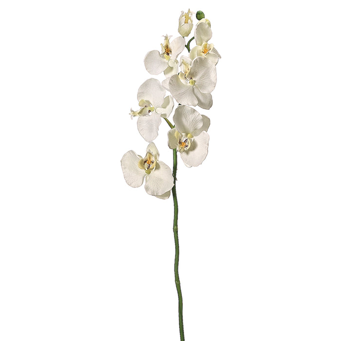 29" Silk Medium Phalaenopsis Orchid Flower Spray -Cream (pack of 12) - FSO006-CR