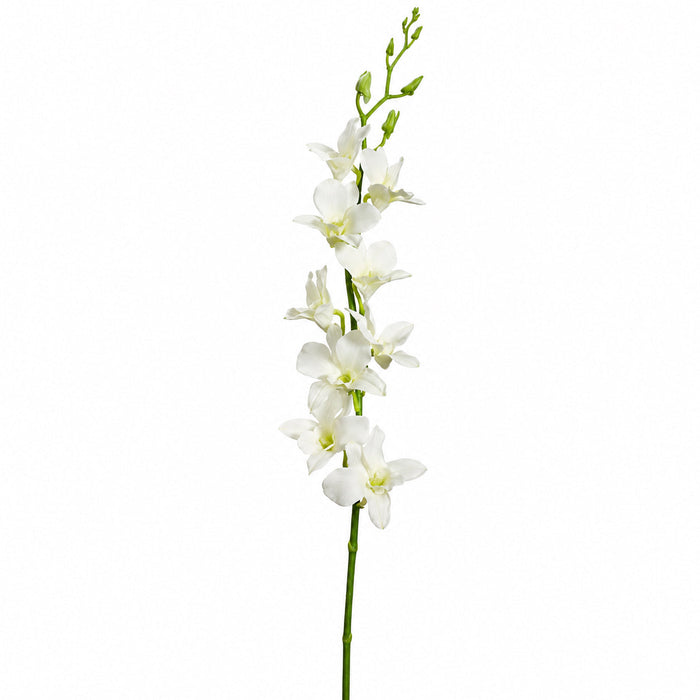 35.5" Silk Dendrobium Orchid Flower Spray -Cream (Pack of 12) - FSO008-CR