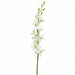 35.5" Silk Dendrobium Orchid Flower Spray -Cream (Pack of 12) - FSO008-CR
