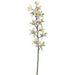 38" Silk Cymbidium Orchid Flower Spray -Cream (pack of 12) - FSO010-CR