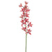 38" Silk Cymbidium Orchid Flower Spray -Watermelon (pack of 12) - FSO010-WM