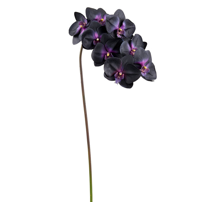 37" Phalaenopsis Orchid Silk Flower Stem -Black/Purple (Pack of 12) - FSO012-BK/PU