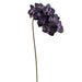 37" Phalaenopsis Orchid Silk Flower Stem -Black/Purple (Pack of 12) - FSO012-BK/PU