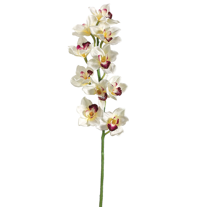 36" Silk Cymbidium Orchid Flower Spray -Cream/Burgundy (pack of 6) - FSO016-CR/BU