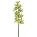 36" Silk Cymbidium Orchid Flower Spray -Green/Burgundy (pack of 6) - FSO016-GR/BU