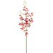 32.5" Orchid Silk Flower Stem -Burgundy (pack of 12) - FSO029-BU