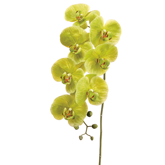 42" Silk Phalaenopsis Orchid Flower Spray -Green (pack of 6) - FSO037-GR