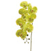 42" Silk Phalaenopsis Orchid Flower Spray -Green (pack of 6) - FSO037-GR