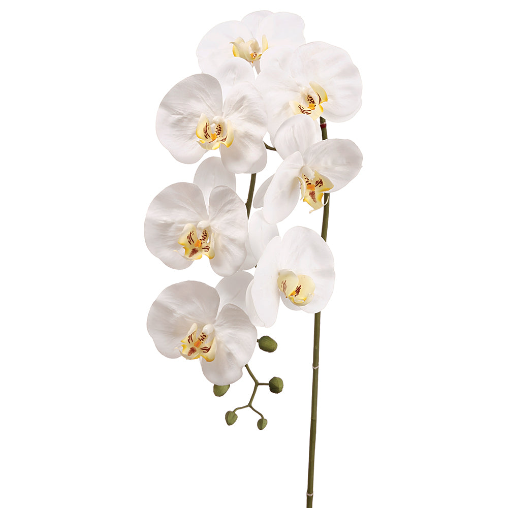 42 Silk Phalaenopsis Orchid Flower Spray White Orchid Stem — Silks Are Forever 5654