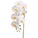 42" Silk Phalaenopsis Orchid Flower Spray -White (pack of 6) - FSO037-WH