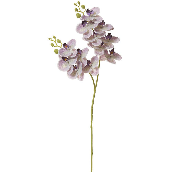 30" Phalaenopsis Orchid Silk Flower Stem -Purple/Cream (pack of 12) - FSO040-PU/CR