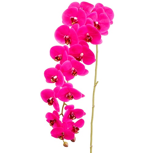 45" Silk Phalaenopsis Orchid Flower Spray -Orchid (pack of 6) - FSO077-OC