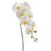 40" Silk Phalaenopsis Orchid Flower Spray -Cream/Yellow (Pack of 12) - FSO110-CR/YE