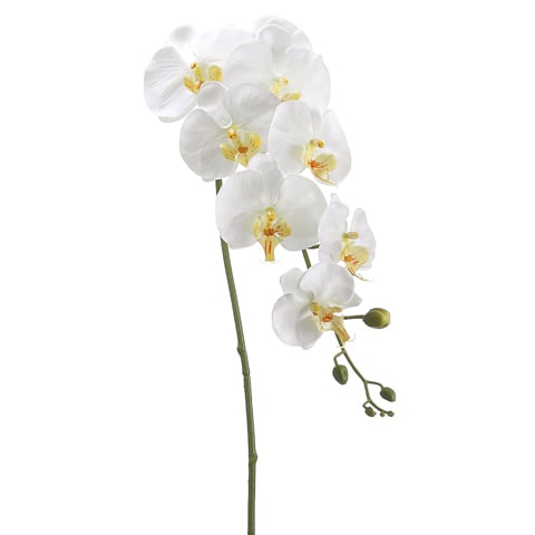 40" Silk Phalaenopsis Orchid Flower Spray -Cream/Yellow (pack of 12) - FSO110-CR/YE